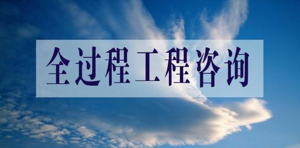 全過(guò)程工程咨詢流程圖系列一